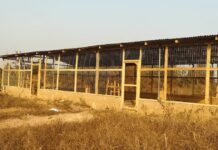 Best Poultry House Sizes: Achieve Quality and Efficiency with the Right Design poultry house sizes dimensions