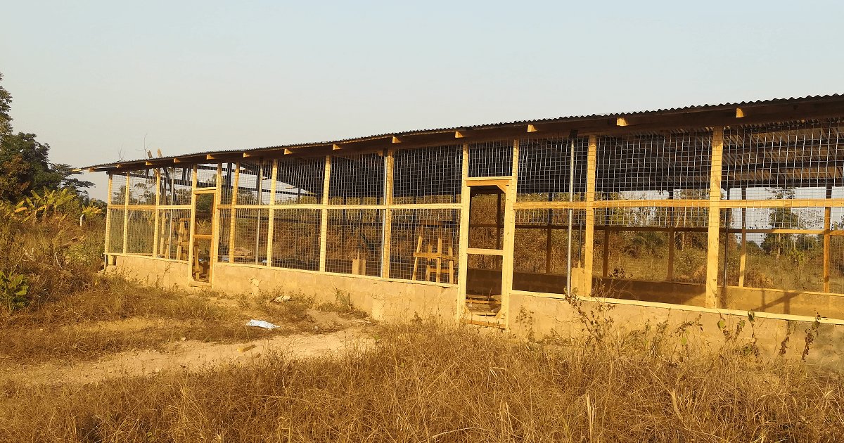 Standard Size Of Poultry House For 500 Birds