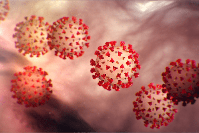 Impact Coronavirus (COVID-19) on Agriculture