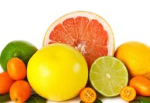 15 Unbelievable Foods to Boost the Immune System Against Coronavirus (Covid-19) boost-immune-system-coronavirus
