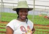 How to Succeed in Agriculture as a Young Entrepreneur young entrepreneur