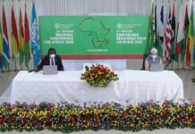 FAO Food security