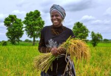 African Countries Commit to Accelerate Actions Towards Food Security FAO Food Security