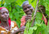 Smallholder Farmers in Northern Ghana to Benefit from Certified Seeds smallholder farmers certified seeds