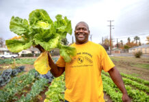 The Secret To Becoming A Successful Absentee Farmer successful absentee farmer