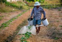 Remarkably Using Little to Produce More Crops By Increasing Water Use Efficiency increase-water-use efficiency