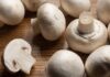 The Magical Mushroom: 7 Key Nutritional and Medicinal Benefits mushroom HEALTH benefits