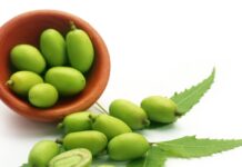 How to: Prepare Super Organic Pesticides from Neem Seed organic pesticides from Neem Seed Kernel Extracts