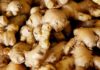 Costs and Benefits on Ginger Cultivation, Do you know 1Ha Yields Cool 160% ROI? 1 hectare ginger cultivation; cost and benefits