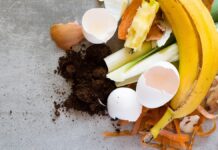 composting compost
