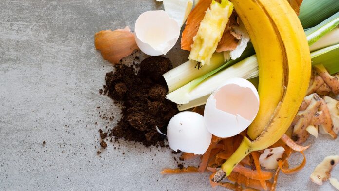 composting compost