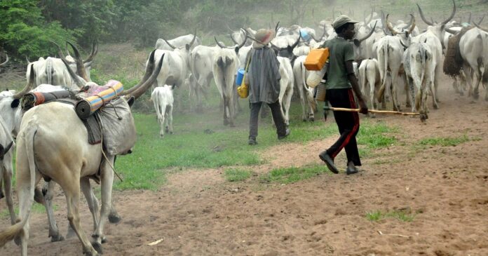 Nomadic Fulani Herdsmen