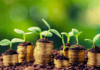 Building a Solid Agribusiness: 6 Proven Tips for Sustainability and High Profits profitable-agribusiness-1