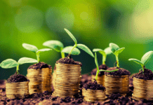 Building a Solid Agribusiness: 6 Proven Tips for Sustainability and High Profits profitable-agribusiness-1