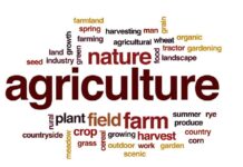 agricultural venture | Nobowa Learn