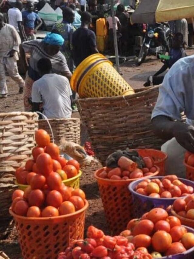 Maximize Profit in Tomato Production