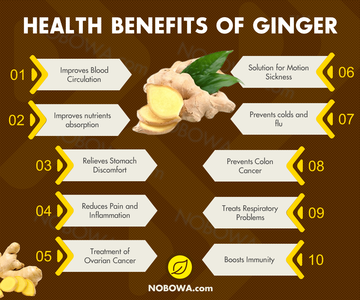 The 11 Amazing Ginger Health Benefits And Nutrition Facts | NOBOWA.com