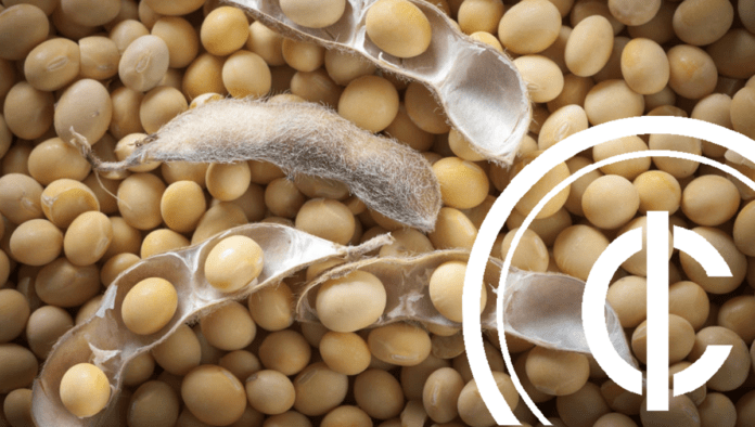 soybean cultivation budget cost and benefits