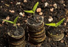 Unlocking Success: 5 Powerful Tips for Good Financial Management in Agribusiness financial management in agribusiness