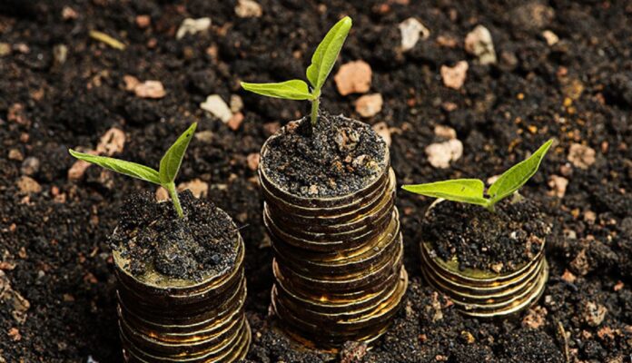 Good Financial Management In Agribusiness: 5 Tips For Unlocking Success ...