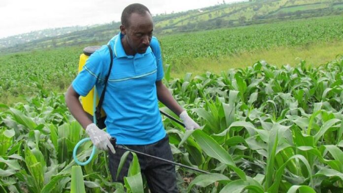 chemicals against fall armyworm