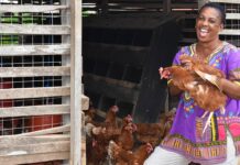 poultry business