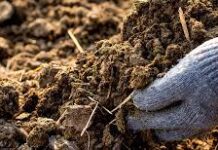 farmyard manure sustainable land management