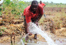 irrigation maintenance