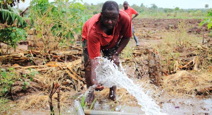 irrigation maintenance