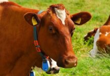 5 Game-Changing Technologies Boosting Profitability in Agriculture technologies in agriculture