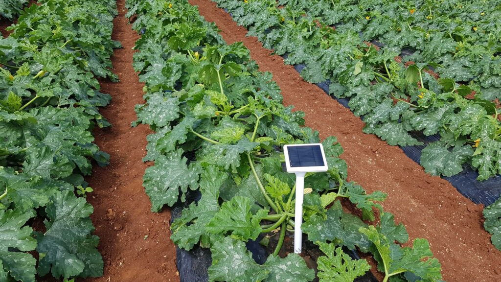 sensor technology in agriculture | NOBOWA.com