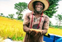 agriculture in ghana facts and figures 2018