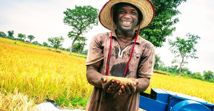 agriculture in ghana facts and figures 2018