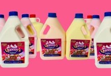 Fresh yoghurt cow milk yogurt