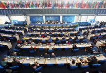 FAO Director-General Calls for Seizing Opportunities to Transform Agrifood Systems agrifood-systems-FAO