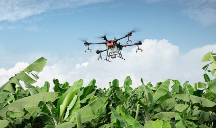 precision agriculture