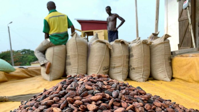 ghana Cocoa