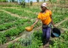Profit More, Waste Less: 8 Sustainable Farming Practices You Need Today sustainable-farming-practices-nobowa.