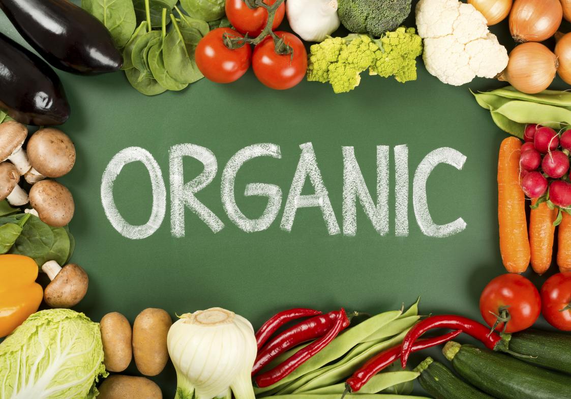 How to start an organic farm