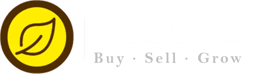 https://nobowa.com/wp-content/uploads/2025/04/nobowa-new-wht-1.webp