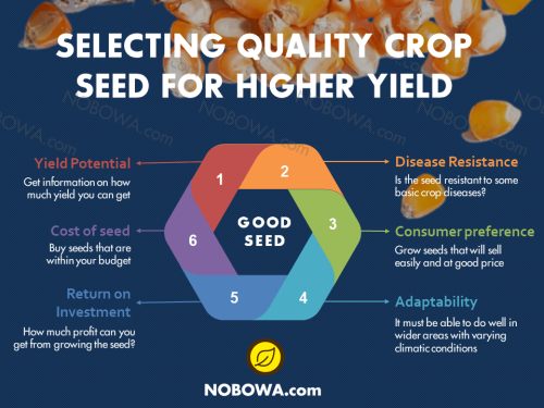 SEEDS SELECTION FOR HIGHER YIELD
