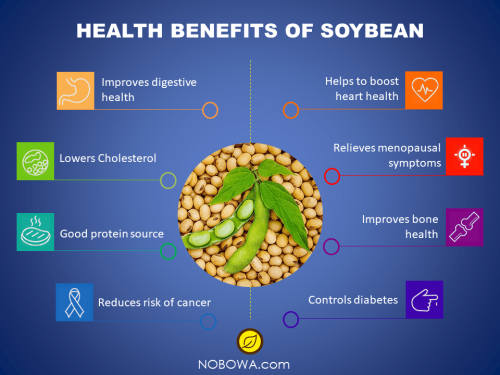 soybean health benefits