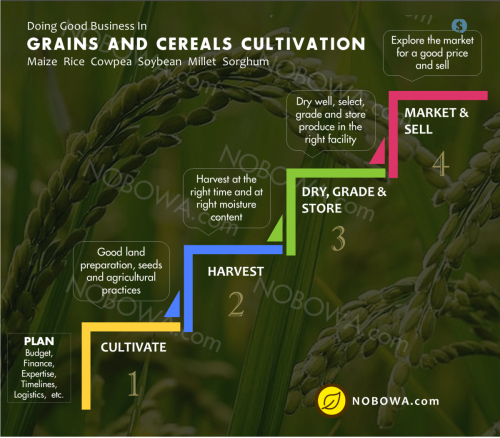 Steps in grains and cereals, soybean cultivation agricultural info gallery