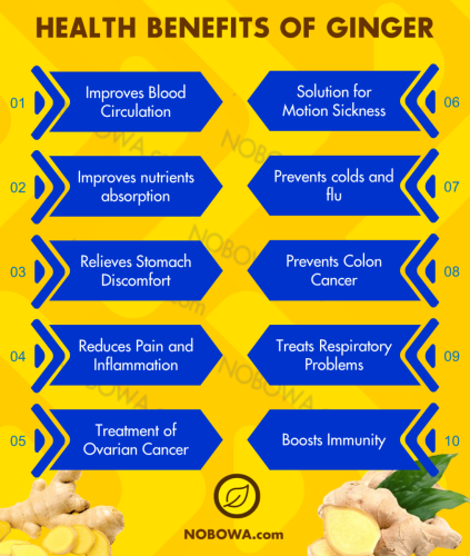 health benefits of ginger