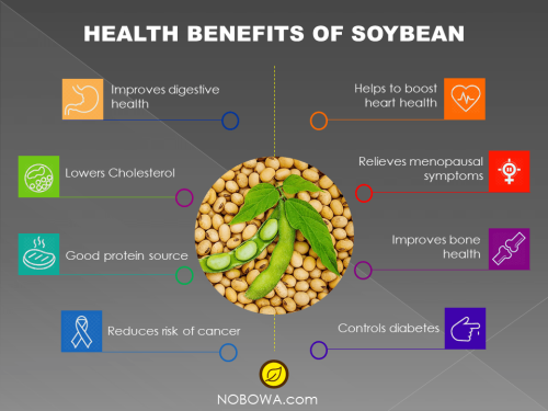 soybean health benefits agricultural info gallery