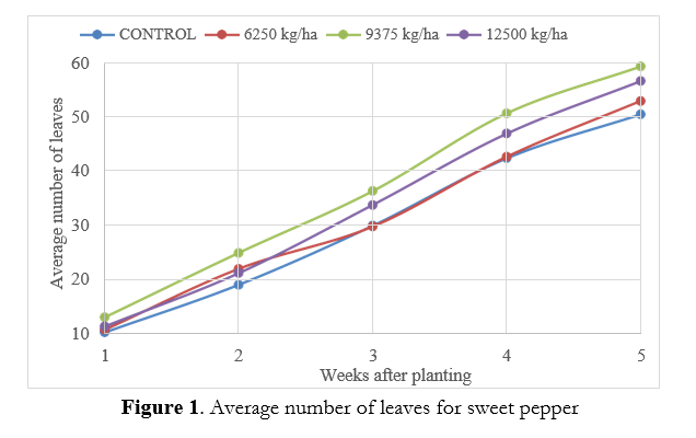 fig1 | NOBOWA.com