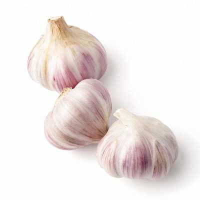 Foods That Boost the Immune System Garlic | NOBOWA.com