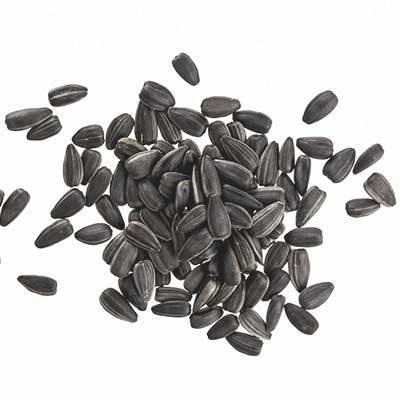 Foods That Boost the Immune System sunflowerseeds | NOBOWA.com